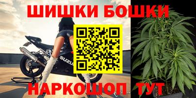 винт Партизанск