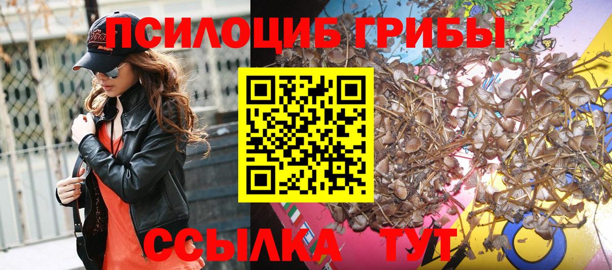 Галлюциногенные грибы Cubensis Соль-Илецк