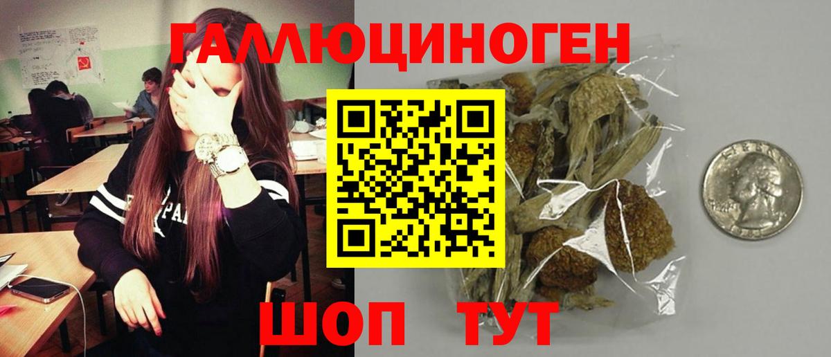 Соль-Илецк  Псилоцибиновые грибы Cubensis  Вход с VPN 
